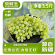 京鲜生 新疆无核白葡萄净重3.5斤马奶无籽提子源头直发