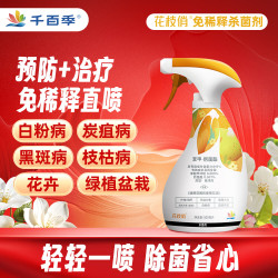 千百季 花枝俏免稀释杀菌剂花卉通用月季炭疽白粉病黑斑点干尖直喷型花药