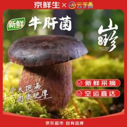 京鲜生 &云芳斋 云南新鲜 黑牛肝菌 人工见手青煲汤火锅小炒1斤 源头直发 新鲜黑牛肝菌500g