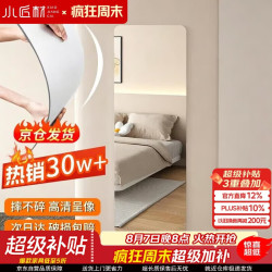 XIAOJIANGCAI 小匠材 亚克力软镜子贴墙自粘穿衣镜全身家用粘贴试衣镜高清墙贴40*150