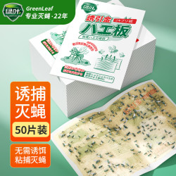 绿叶 粘蝇纸灭苍蝇器粘蝇胶50片装灭苍蝇粘板