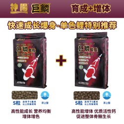 神阳 巨鳞锦鲤鱼饲料高蛋白增色增体专用鱼粮鱼食渔场赛级推荐套餐