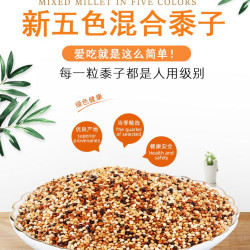 再再 ZAIZAI 再再 鹦鹉饲料鸟粮虎皮鹦鹉饲料鸟食玄凤鹦鹉专用粮牡丹鸟粮混合米饲料