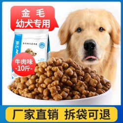 艾顿 狗粮金毛幼犬专用5kg10斤装牛肉味美味中犬粮毛