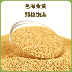 冠之亚 鹦鹉鸟粮黄谷子虎皮鹦鹉专用鸟粮饲料带壳黄谷子玄风牡丹粮