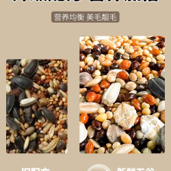 深深宠 鹦鹉鸟粮饲料鸟食五色黍子带壳小米黄谷子玄凤虎皮牡丹珍珠鸟粮食