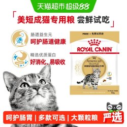 皇家 美国短毛猫成猫全价粮ASA31