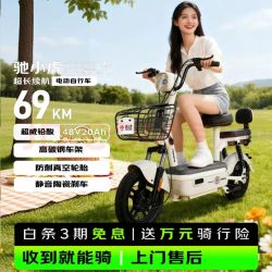 驰小虎 电动自行车 & 吉祥虎新国标 &电动车电动自行车48V20Ah电池长续航 