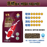 SQG 神阳巨鳞锦鲤饲料蝴蝶鲤鱼食育成增体三色骨霸艳红鱼粮
