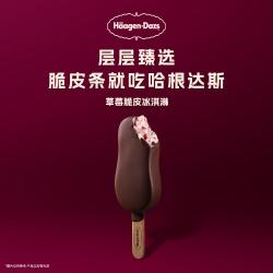 哈根达斯 脆皮条 冰淇淋  10支 暂无 64g