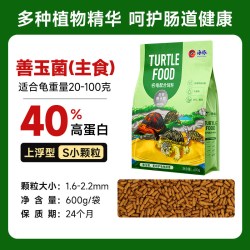 PORPOISE 龟粮善玉菌调理肠胃基础焕色剃刀黄缘乌龟饲料幼龟半水龟通用