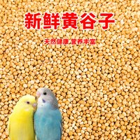 深深宠 鹦鹉饲料鸟粮新黄谷子带壳小米虎皮鹦鹉饲料玄凤牡丹专用鸟食粮食