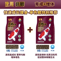 神阳 巨鳞锦鲤鱼饲料高蛋白增色增体专用鱼粮鱼食套餐