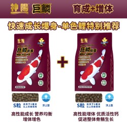 神阳 巨鳞锦鲤鱼饲料高蛋白增色增体专用鱼粮鱼食套餐