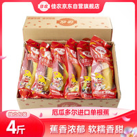 佳农 香蕉 10-12根 2kg