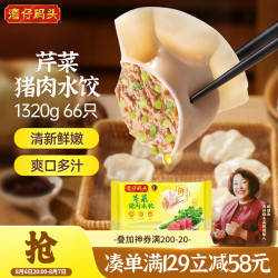 湾仔码头 芹菜猪肉水饺 1.32kg66只 袋装