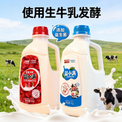 京典光年 &鸿博 生牛乳发酵酸奶饮品儿童学生老人早餐健康饮品 (大红枣+原味）风味饮料1kg*2桶
