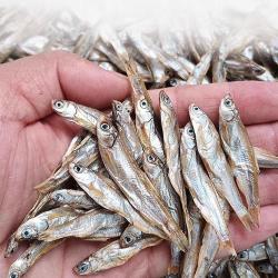 枝宠 小乌龟饲料龟粮通用无盐淡水小鱼小虾干零食巴西草龟护甲护壳专用