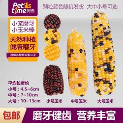仓鼠磨牙石棒玉米棒土拨鼠荷兰猪豚鼠粮食零食龙猫粮食兔松鼠饲料