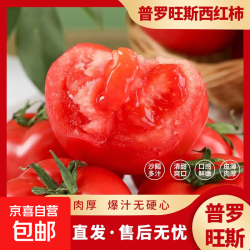 京喜 现摘山东普罗旺斯沙瓤口感西红柿生吃水果番茄包邮 5斤普罗旺斯西红柿 4.5斤 净重 中大果（单果125g+）