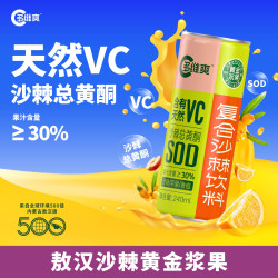 多维爽 天然VC 沙棘果汁饮料