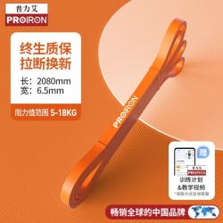 PROIRON 阻力带健身拉力带瑜伽弹力带力量训练 橙色阻力值5-18KG