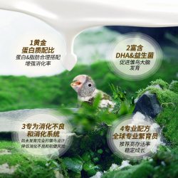 凡赛尔 营养鸟系列A21/A19鹦鹉幼鸟高蛋白质奶粉鸟粮 3kg