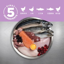 Orijen 渴望 幼猫猫粮1.8kg小颗粒1-12月进口