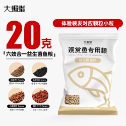 大拇指 金鱼兰寿泰狮琉金蝶尾鹤顶红金望天珍珠鳞观赏鱼专用粮饲料