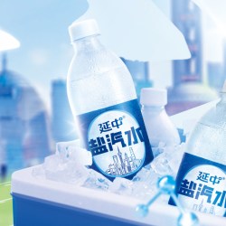 延中 盐汽水 600ml*20瓶 乌梅柠檬咸味