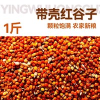 鹦鹉鸟粮黄谷子带壳黄小米鸟食虎皮牡丹玄凤专通用饲料新货大颗粒1斤