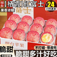 粤迎 红富士苹果栖霞脆甜  5斤装