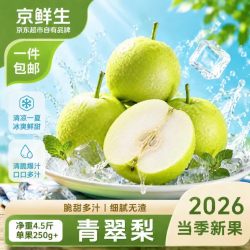 京鲜生 安徽砀山 绿皇冠冰糖梨 净重5斤装 单果220g+ 生鲜水果源头直发