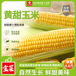 佳农 宝菜山东新鲜水果玉米现摘鲜甜多汁5-6根净重4.5斤源头直发