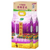 十月稻田 寒地之最香稻贡米5kg×2袋每箱东北大米粳米20斤