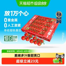 一颗大 串收樱桃番茄甄选礼盒新鲜采摘酸甜多汁