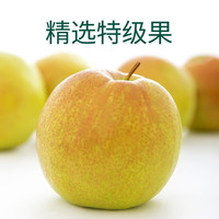 隰悦 小西天玉露香梨 12粒大果 净重8斤