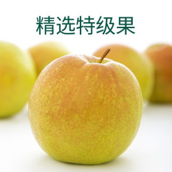 隰悦 小西天玉露香梨 12粒大果 净重8斤