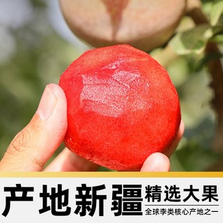 寻天果蔬 新疆恐龙蛋李子 红心杏李 1斤
