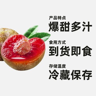 寻天果蔬 新疆恐龙蛋李子 红心杏李 1斤