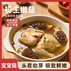 金堂羊肚菌50g