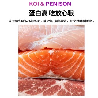 佩尼森 锦鲤鱼饲料 育成色扬颗粒 不浑水鱼粮