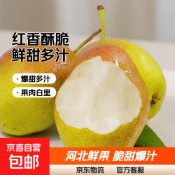 京喜加 赵县红香酥带箱4斤中果
