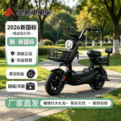 东风 新款国标长续航爬坡力足大功率电动车