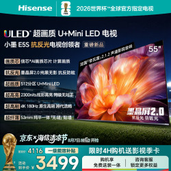 海信 小墨系列 55E5S 液晶电视 55英寸