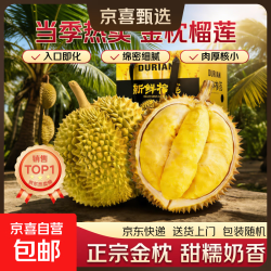 泰国巴掌金枕榴莲 鲜榴莲带壳巴掌 净重3-4斤