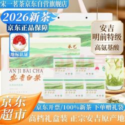 宋一 茶叶礼盒绿茶安吉白茶特级2026新茶明前茶250g
