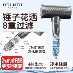 得尔美 淋浴花洒喷头 手持过滤增压花洒