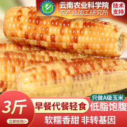 美食农科院花糯玉米新鲜真空软糯早餐代餐粗粮