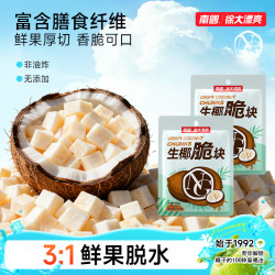 南国 生椰脆块 海南三亚特产果干香脆椰子片 100g